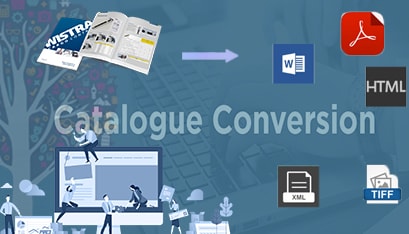 cataloge-conversiony